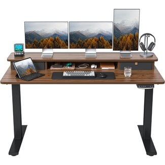 FEZIBO 60 x 24 Inch Height Adjustable Electric Standing Desk with Double Drawer, Stand Up Desk with Storage Shelf, Sit Stand Desk, Blcak Walnut