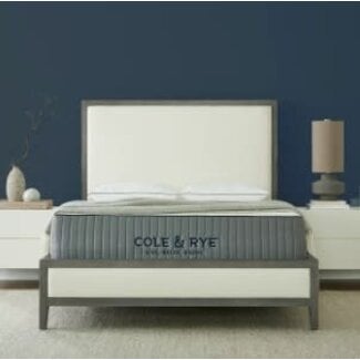 Cole & Rye ArticSky 14" Medium Plush Hybrid of Gel Memory Foam and Spring Mattress with BONUS Pillow, Twin