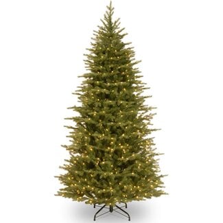 National Tree Nordic Spruce Tree, Green