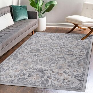NAAR Indoor Decor Area Rugs 8x10 Sand/Ivory/Oriental Non-Shedding Carpet, Traditional Vintage Soft Area Rug Living Room Bedroom Dining Home Office Stylish and Stain Resistant
