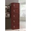 HODEDAH 5 Door Bookcase Cabinet, Mahogany