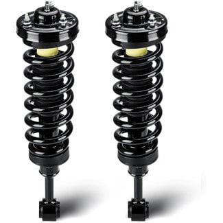 Front Complete Struts Assembly w/Coil Spring Shock Absorber Compatible with 2004-2008 Ford F-150, 2006-2008 Lincoln Mark LT, Replace for 171361, 2Pcs