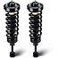 Front Complete Struts Assembly w/Coil Spring Shock Absorber Compatible with 2004-2008 Ford F-150, 2006-2008 Lincoln Mark LT, Replace for 171361, 2Pcs