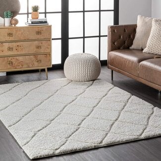 nuLOOM Deloise Trellis Shag Area Rug, 8x10, White