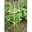 Hydrofarm HGBB6 6' Natural, pack of 25 Bamboo Stake, Tan