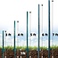 ARIFARO Fence Posts 7 Feet Sturdy Duty Metal Fence Post, Pack of 10, No Dig Garden U Post for Wire Fencing Steel Post for Yard, Outdoor Wire