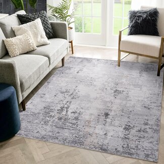 NAAR Indoor Decor Area Rugs 8x10 Ivory/Sand/Abstract Non-Shedding Carpet, Traditional Vintage Soft Area Rug Living Room Bedroom Dining Home Office Stylish and Stain Resistant