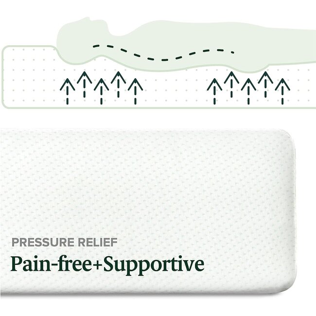 Zinus 12 Inch Green Tea Memory Foam Mattress / CertiPURUS Certified