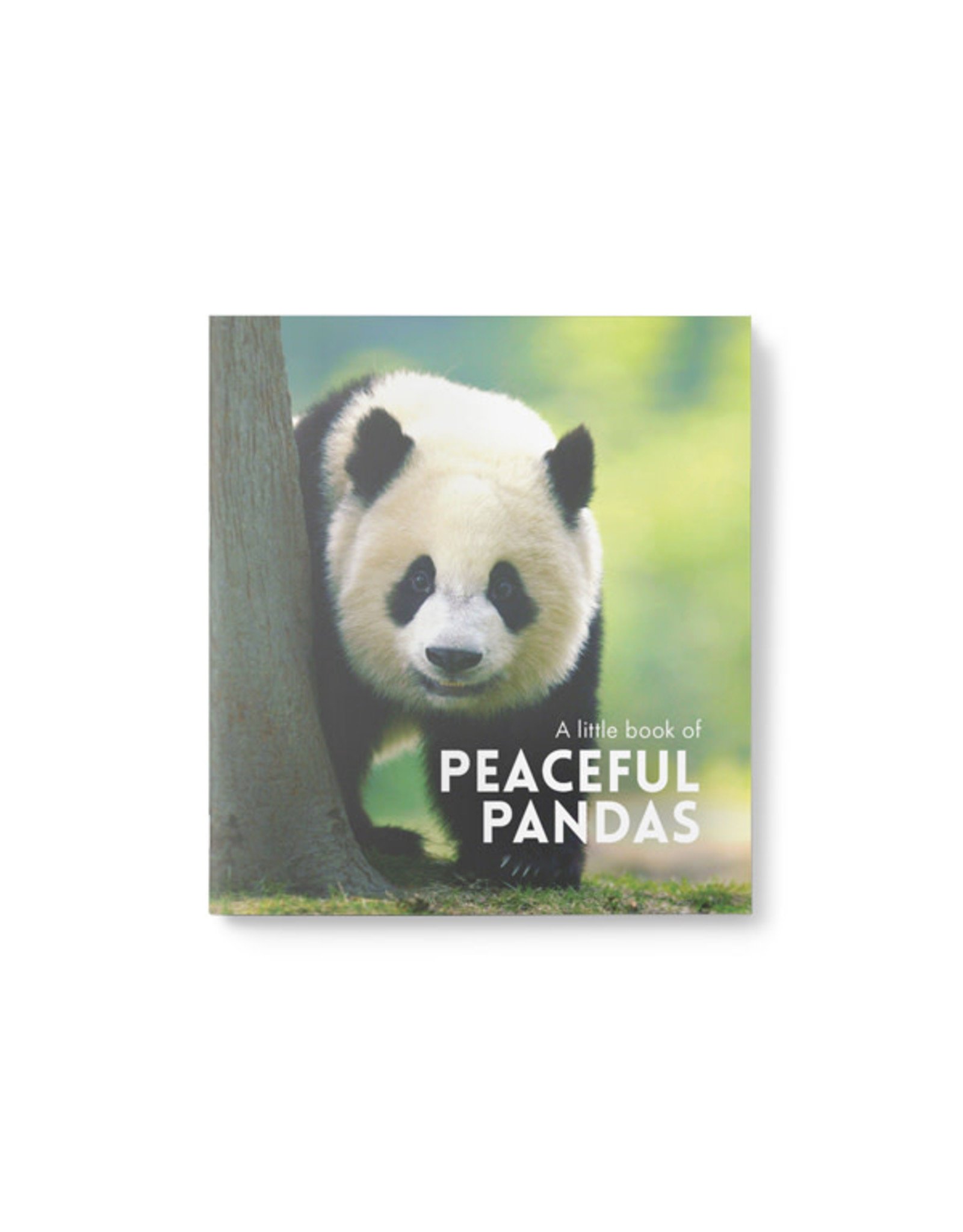 Little Book of Peaceful Pandas