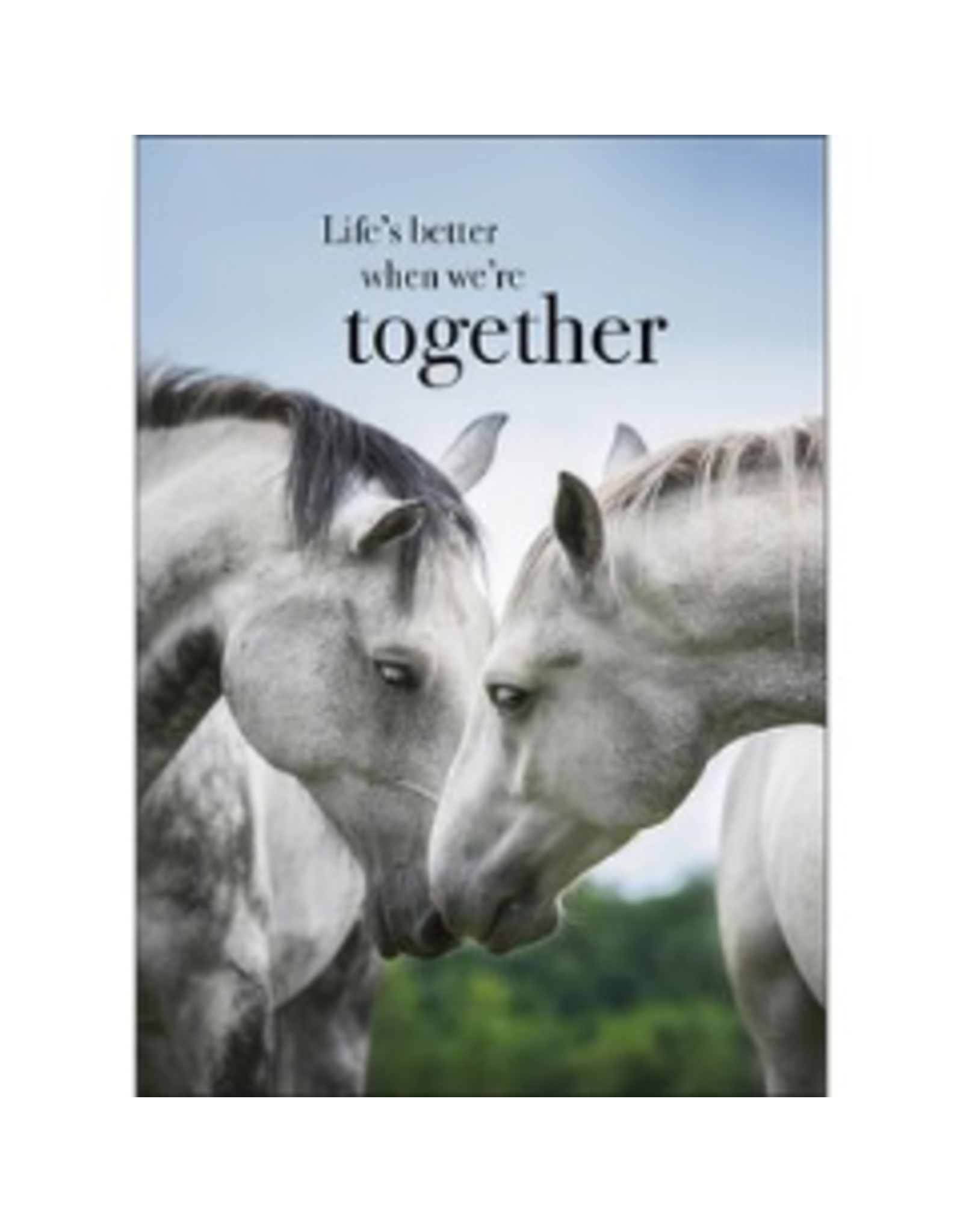 Affirmations Publishing House Greeting Card - Life's Better When We're Together