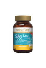 Herbs of Gold Olive Leaf 7500 60T
