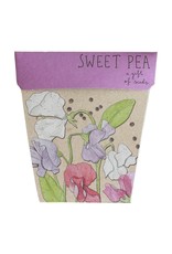Sow 'N Sow Gift of Seeds - Sweet Pea