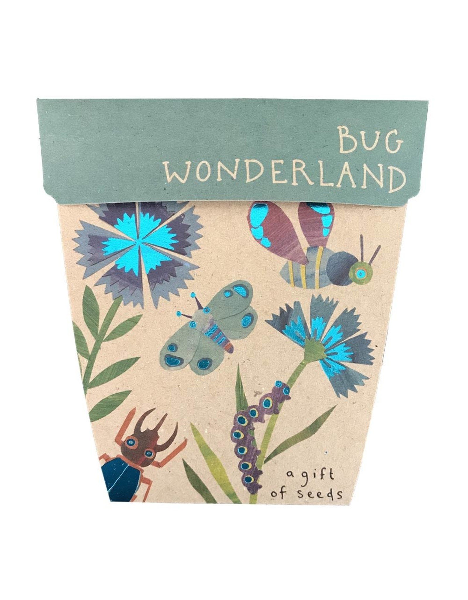 Sow 'N Sow Gift of Seeds - Bug Wonderland