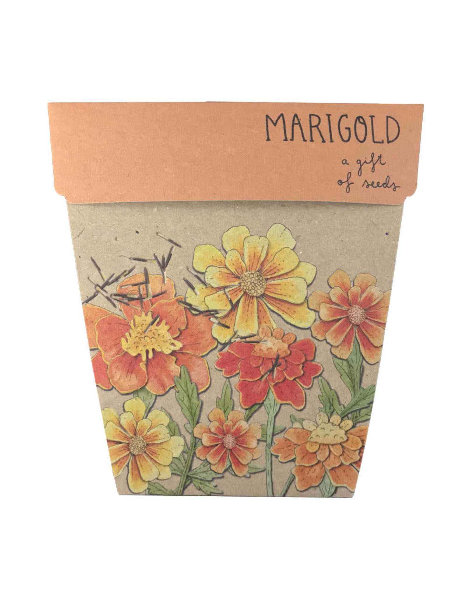 Sow 'N Sow Gift of Seeds - Thank You Marigolds