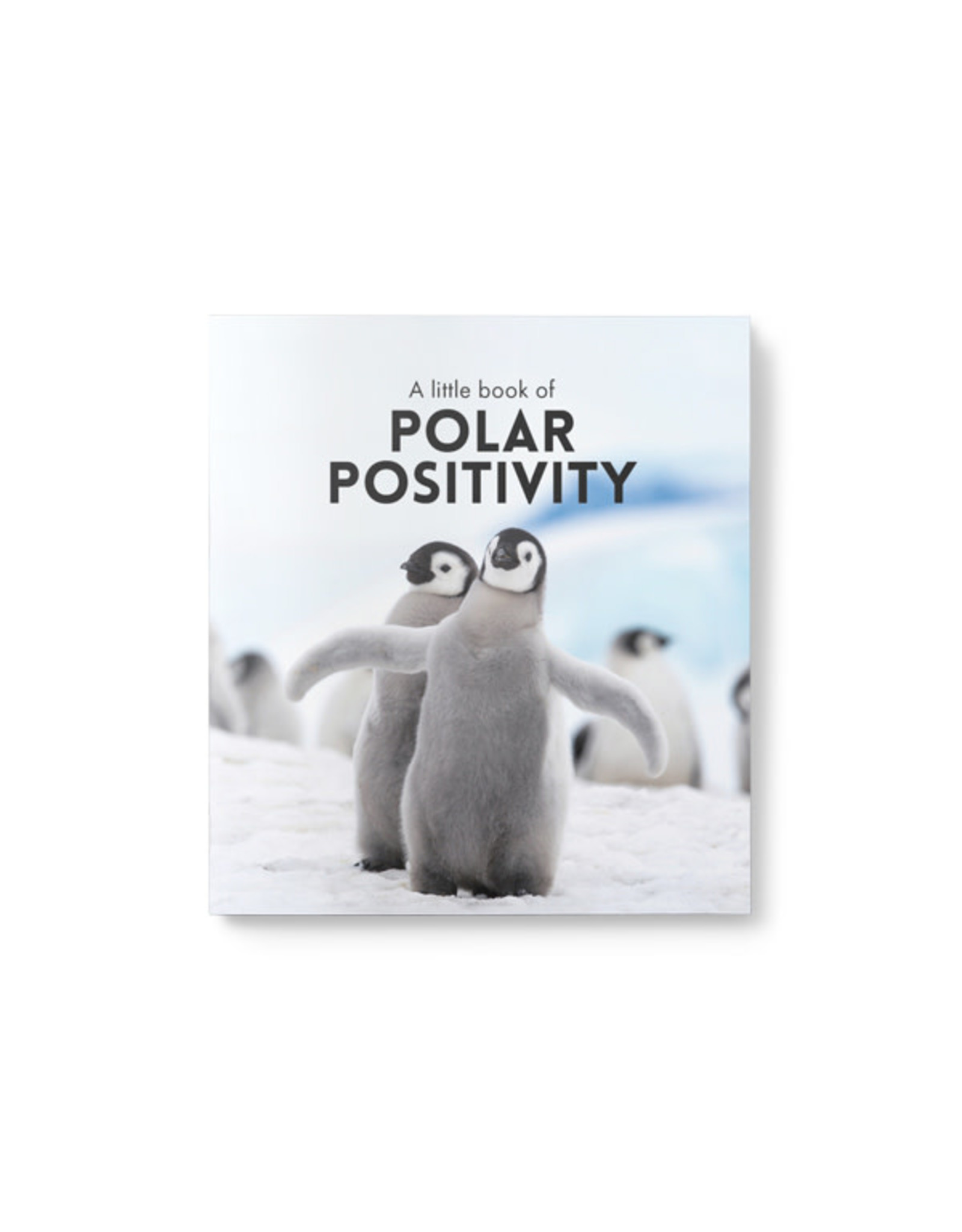 Little Book of Polar Positivity