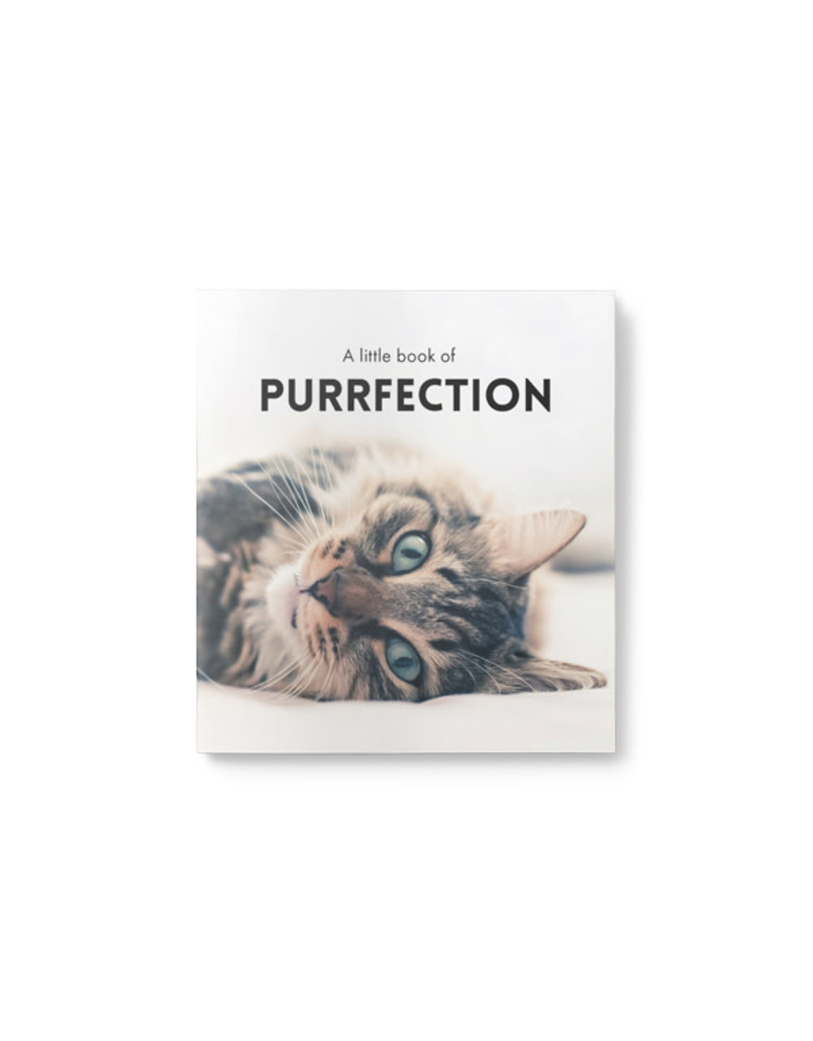 Little Book of Purrfection