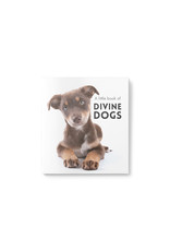 Little Book of Divine Dogs