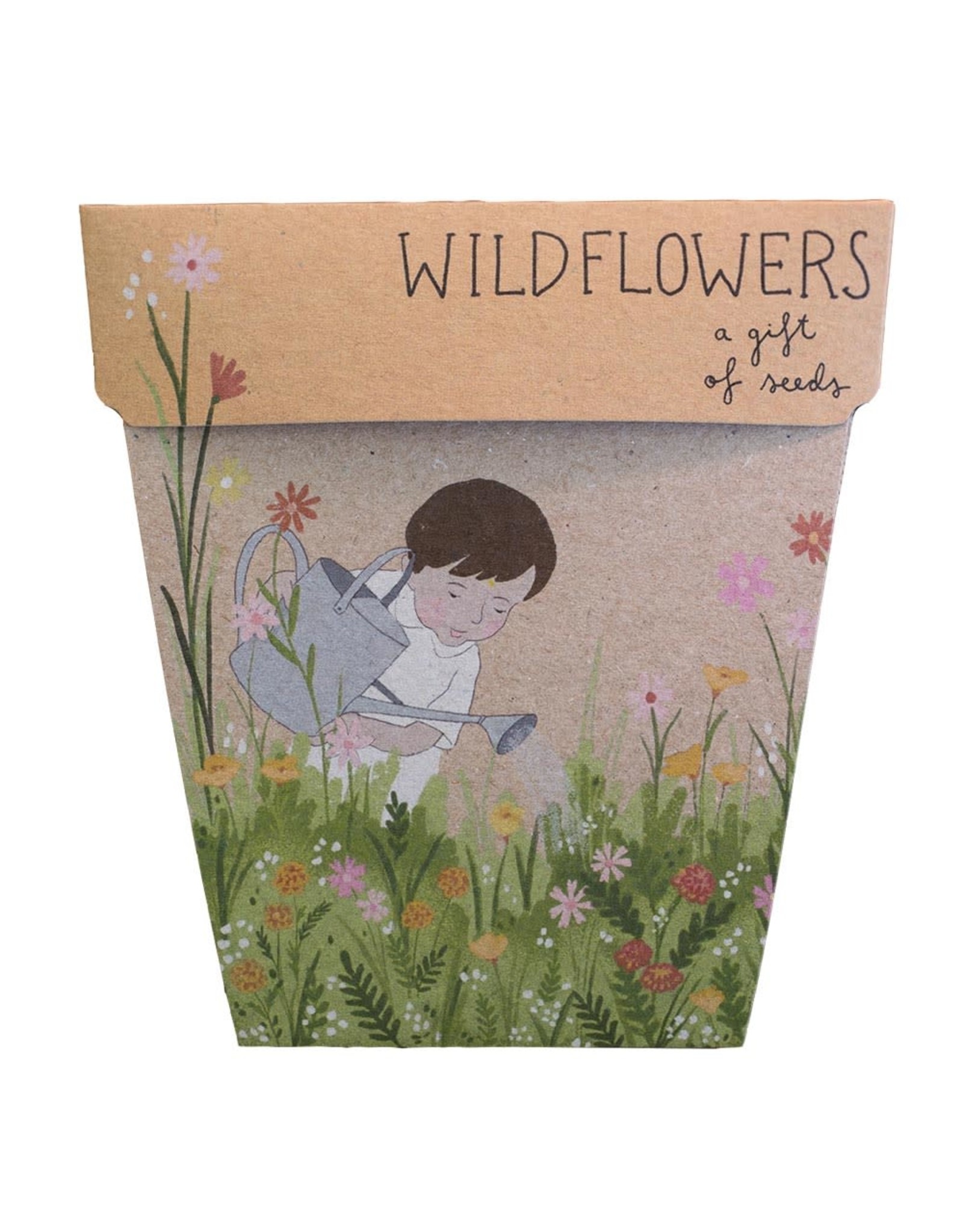 Sow 'N Sow Gift of Seeds - Wildflowers