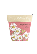 Sow 'N Sow Gift of Seeds Mother's Day Chrysanthemum