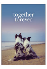 Affirmations Publishing House Together Forever Greeting Card
