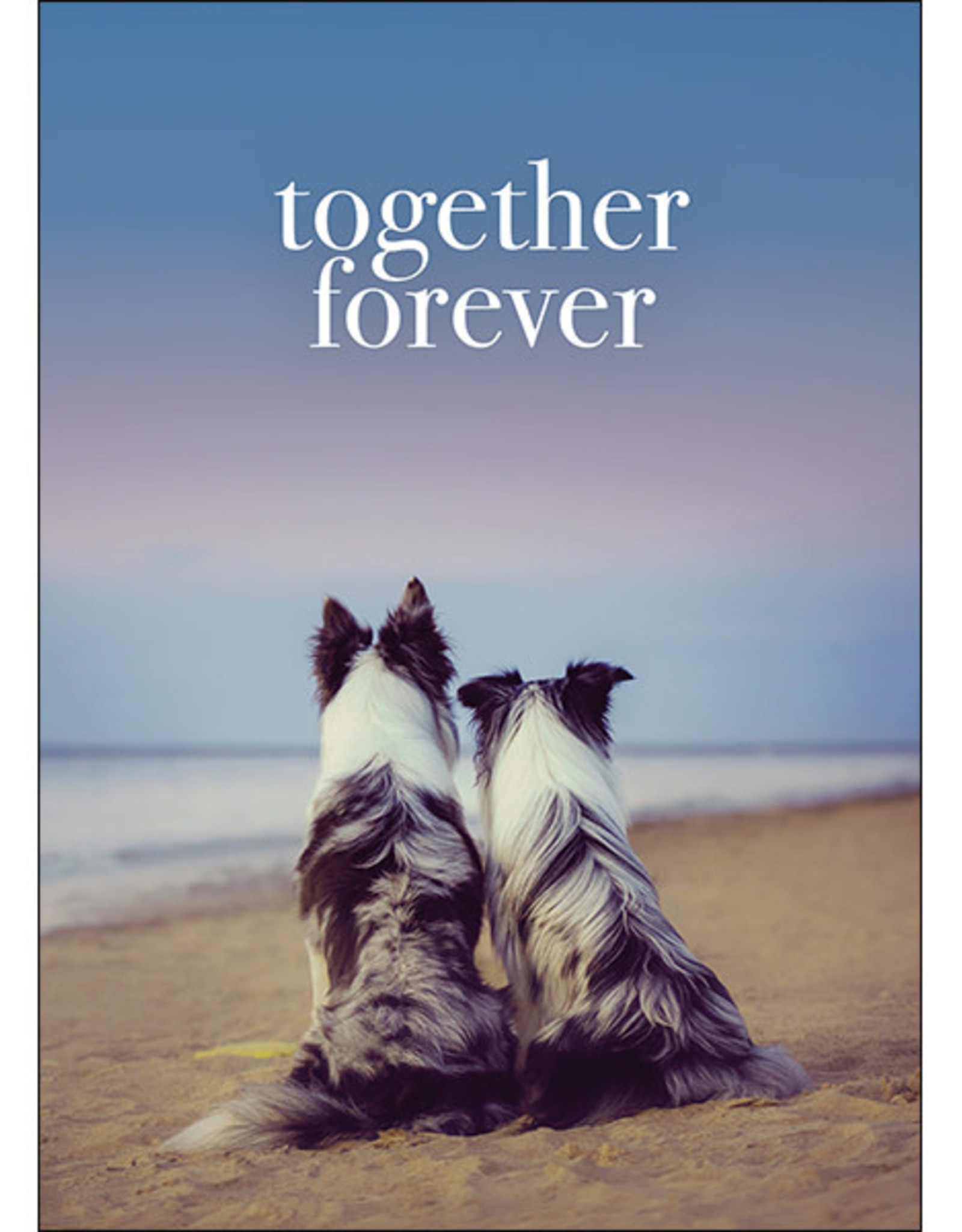 Affirmations Publishing House Together Forever Greeting Card