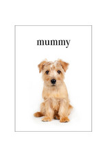 Affirmations Publishing House Mummy, I love You Animal Greeting Card