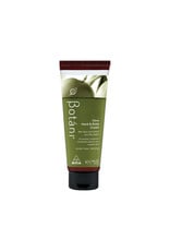 Botani Olive Hand and Body Cream 100g