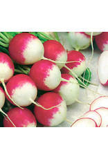 Select Organic Radish (Sparkler) Seeds