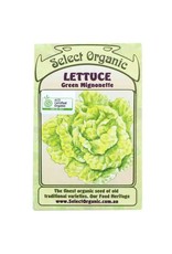 Select Organic Lettuce (Green Mignotte) Seeds
