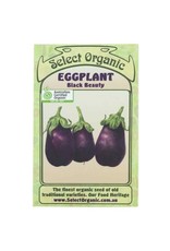 Select Organic Eggplant (Black Beauty) Seeds