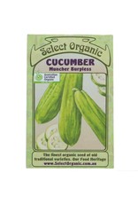 Select Organic Cucumber (Muncher Burpless) Seeds