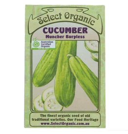 Select Organic Cucumber (Muncher Burpless) Seeds