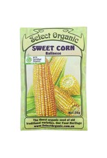 Select Organic Corn (Balinese) Seeds