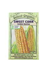 Select Organic Corn (Golden Bantam) Seeds
