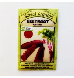 Select Organic Beetroot (Cylindra) Seeds