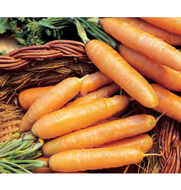 Eden Seeds Carrot (Baby) Seeds