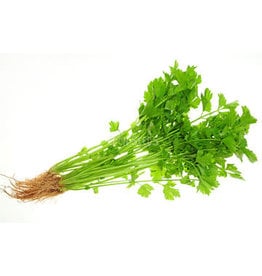 Eden Seeds Celery (Chinese) Seeds
