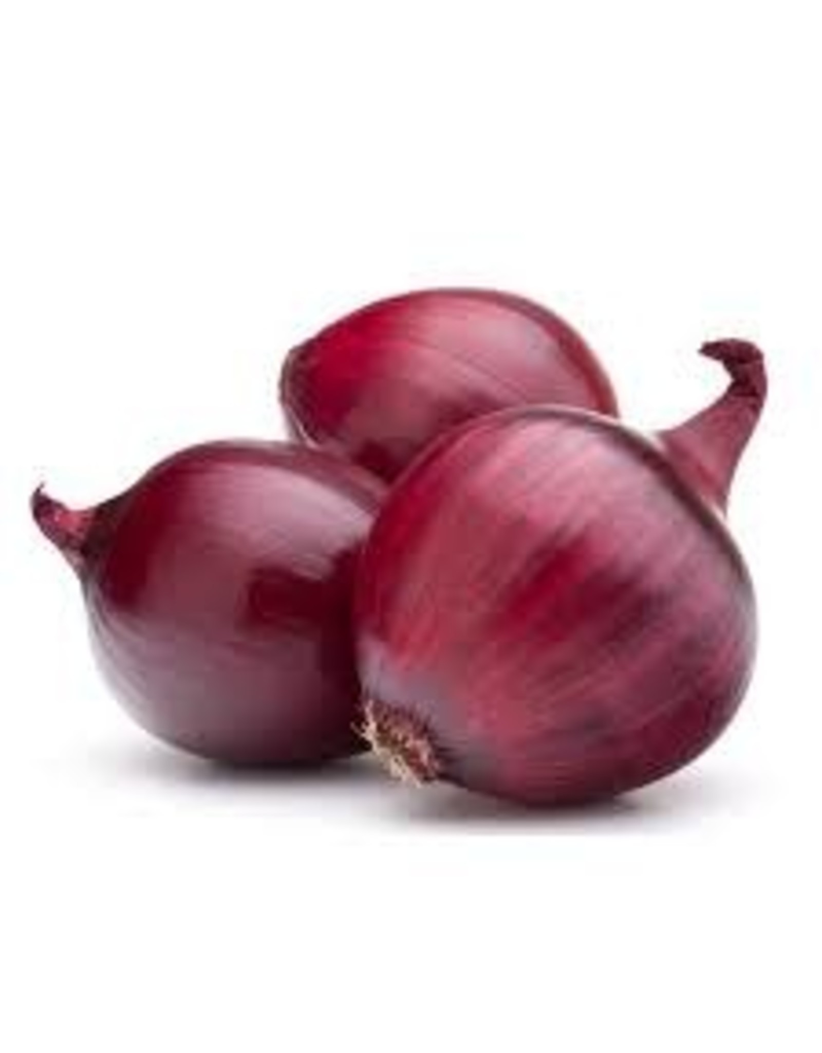 Eden Seeds Onion (Red) Seeds