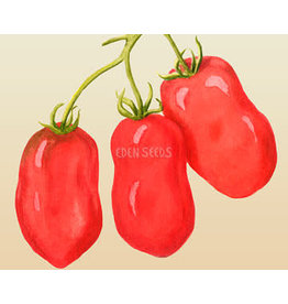 Eden Seeds Tomato (Roma) Seeds