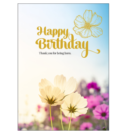 Affirmations Publishing House Inspirational birthday card - Thank you for being born