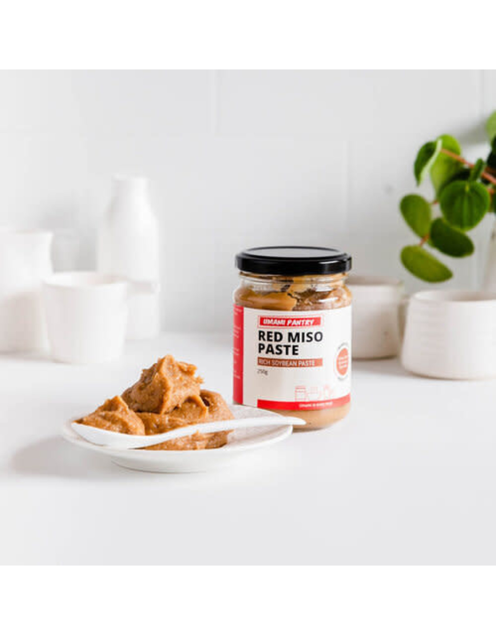 Umami Pantry Hemp Miso Paste Organic 250gm