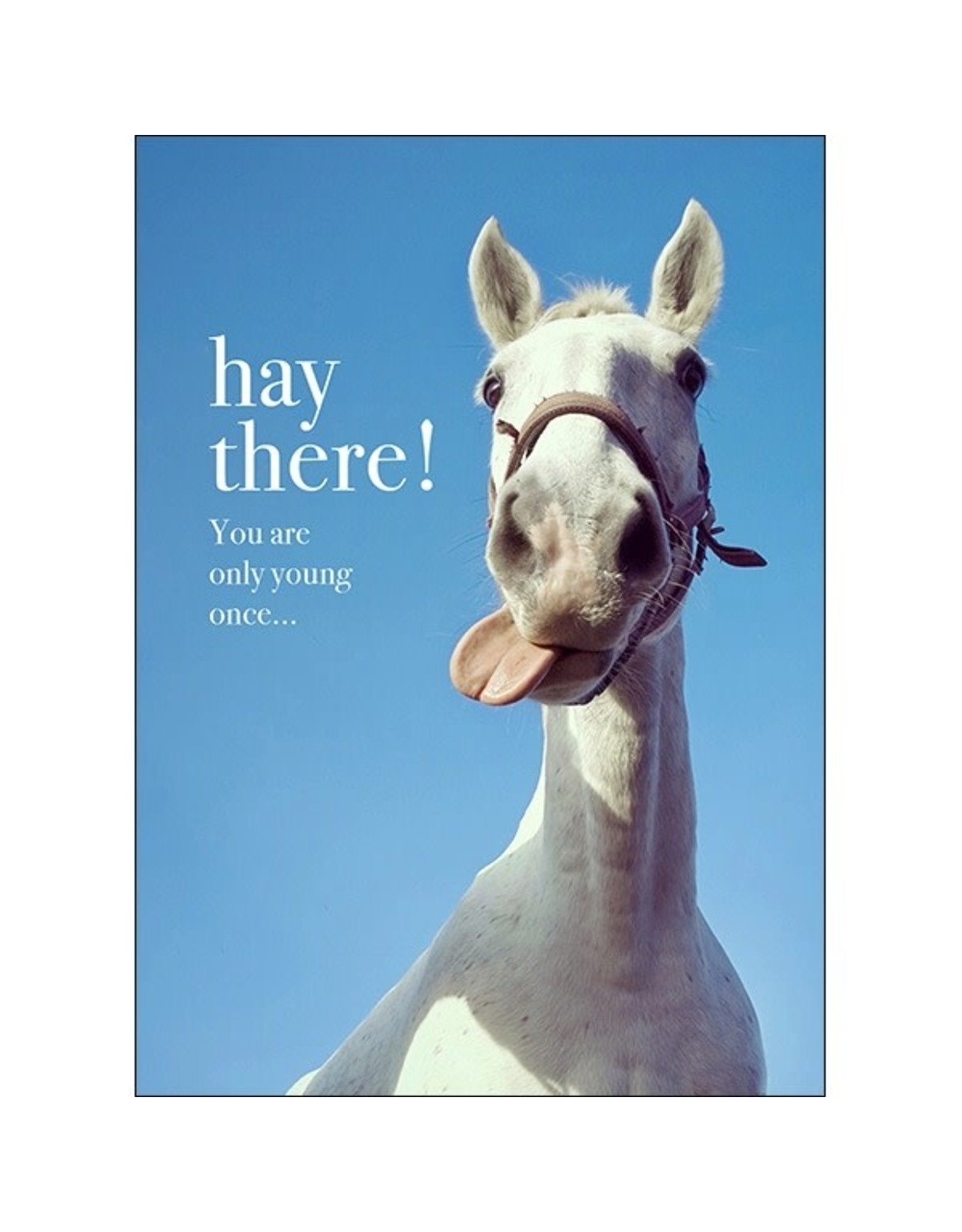 Affirmations Publishing House Hay There! You are Only Young Once - Animal Greeting Card