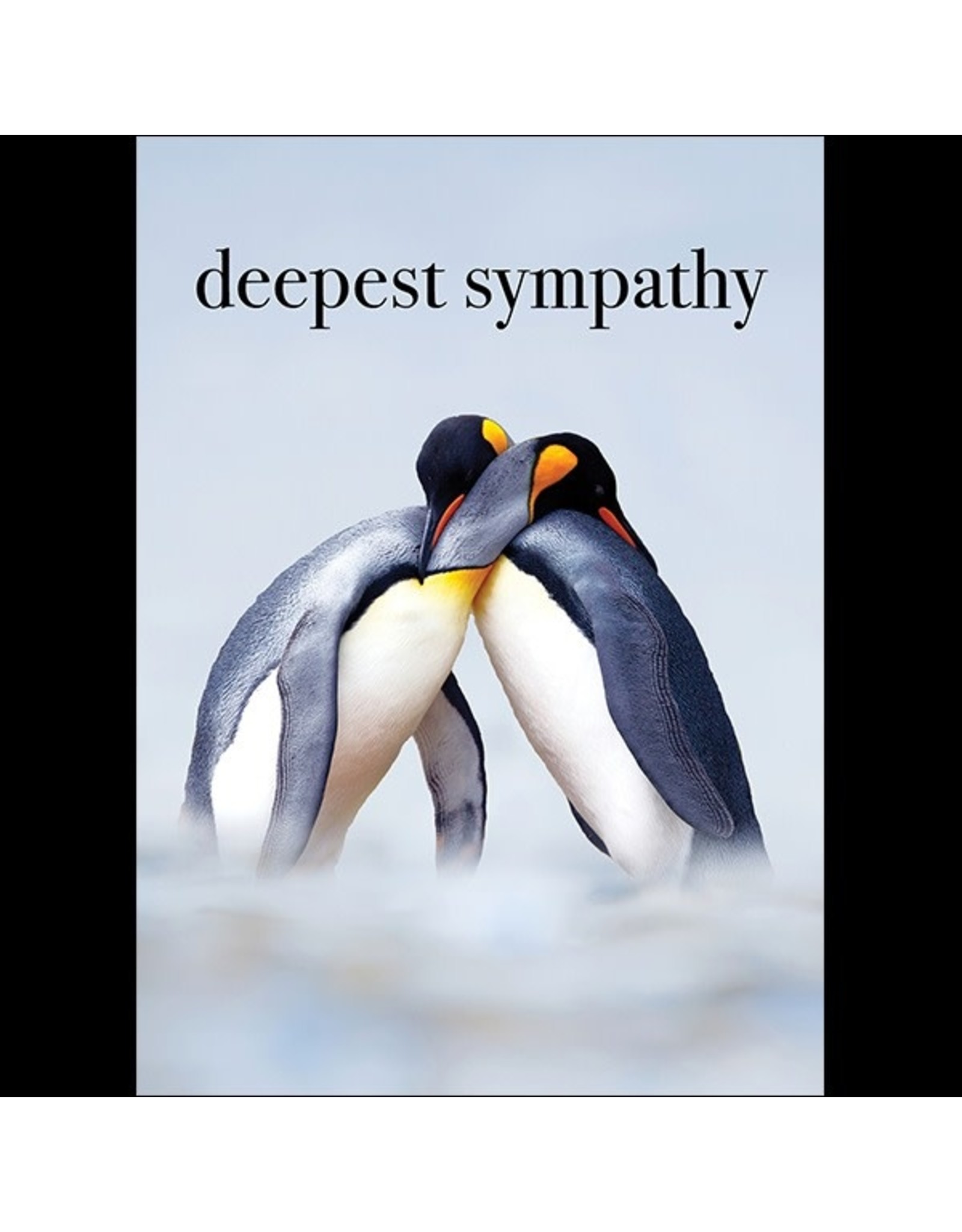 Affirmations Publishing House Deepest Sympathy - Penguin Greeting Card
