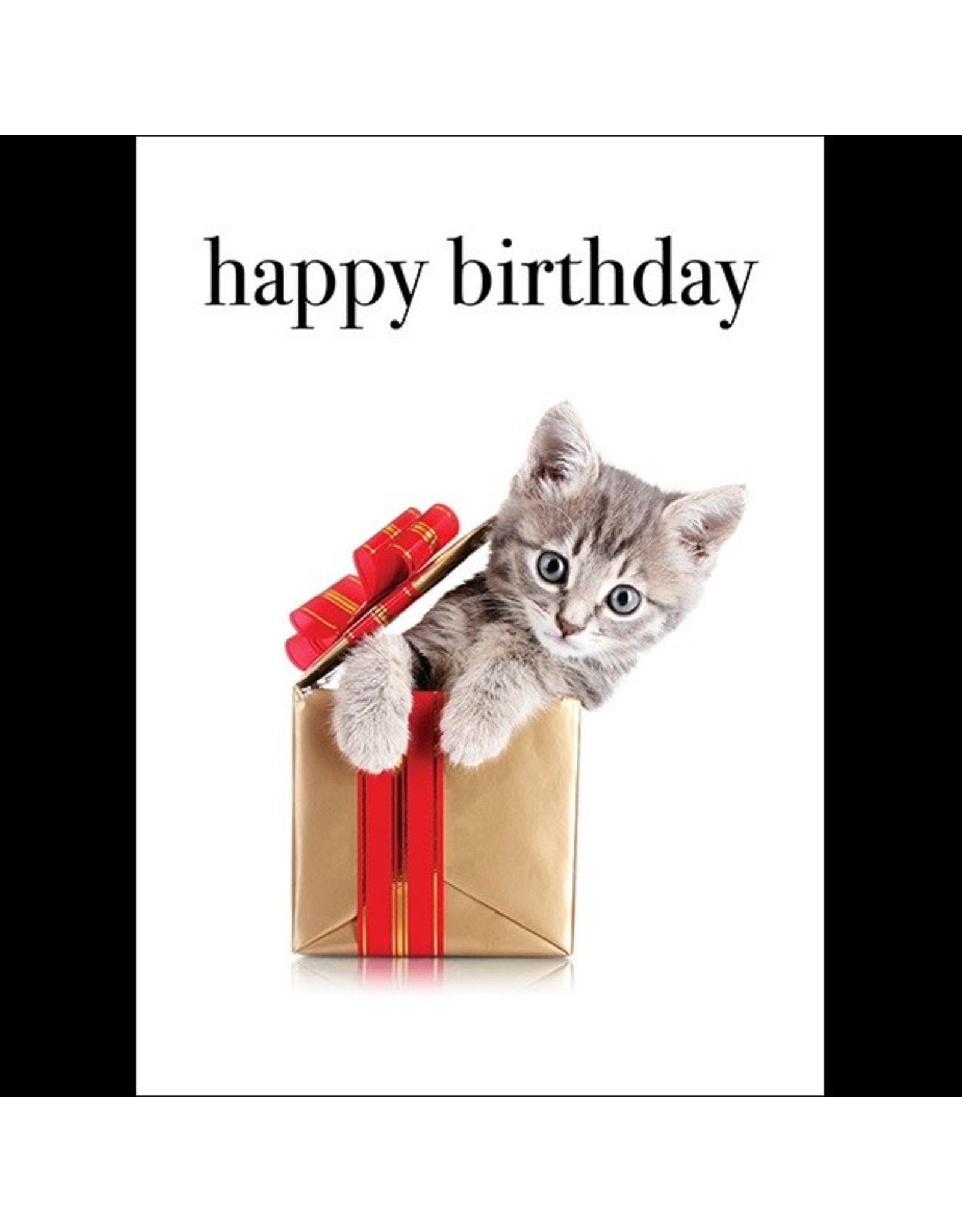 Affirmations Publishing House Happy Birthday - Kitten Greeting Card