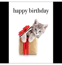 Affirmations Publishing House Happy Birthday - Kitten Greeting Card