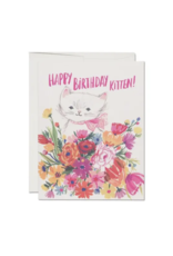 Happy Birthday Kitten Card