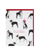 Boston Terrier Birthday Card