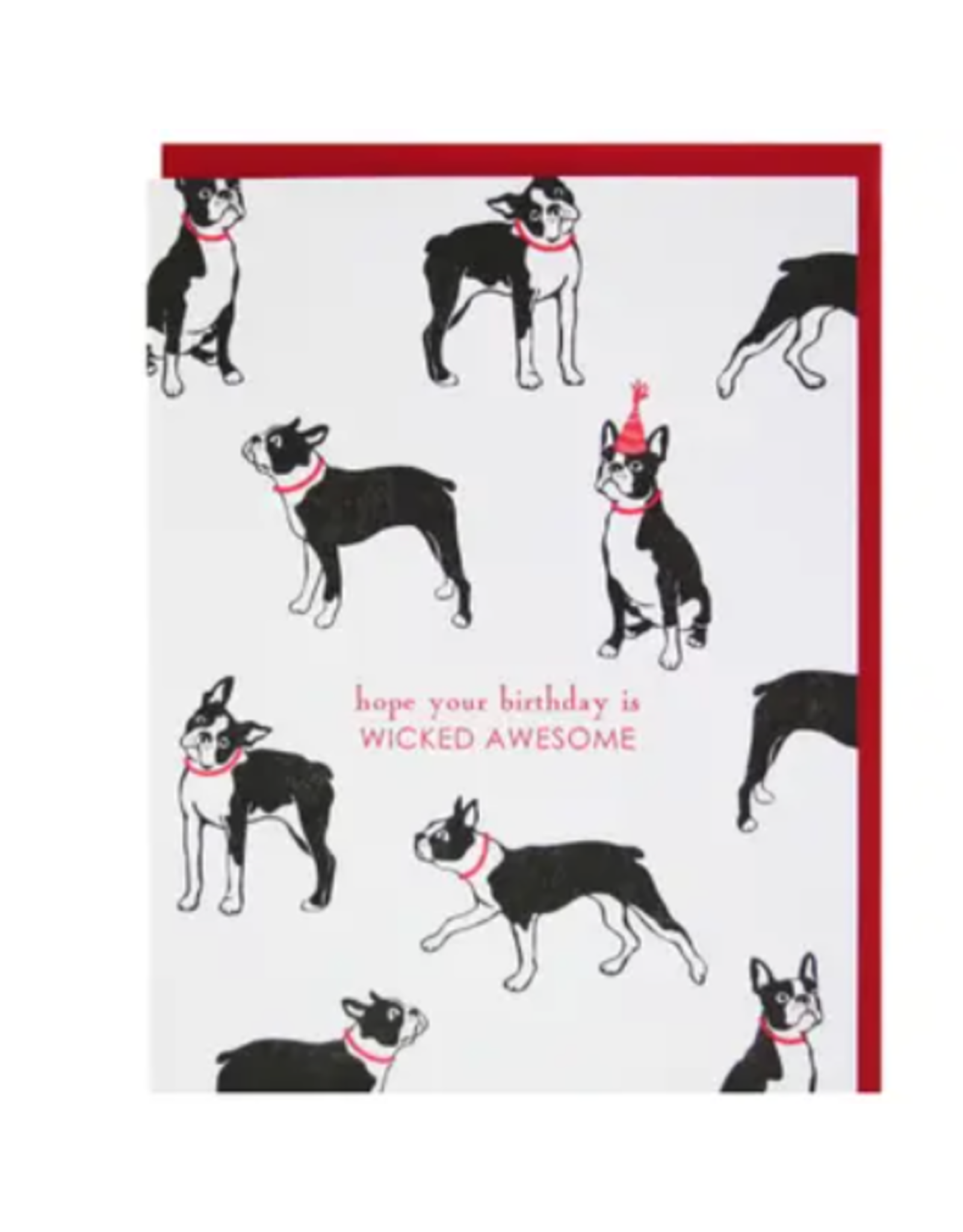 Boston Terrier Birthday Card