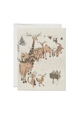 Rudolph Auditions Card