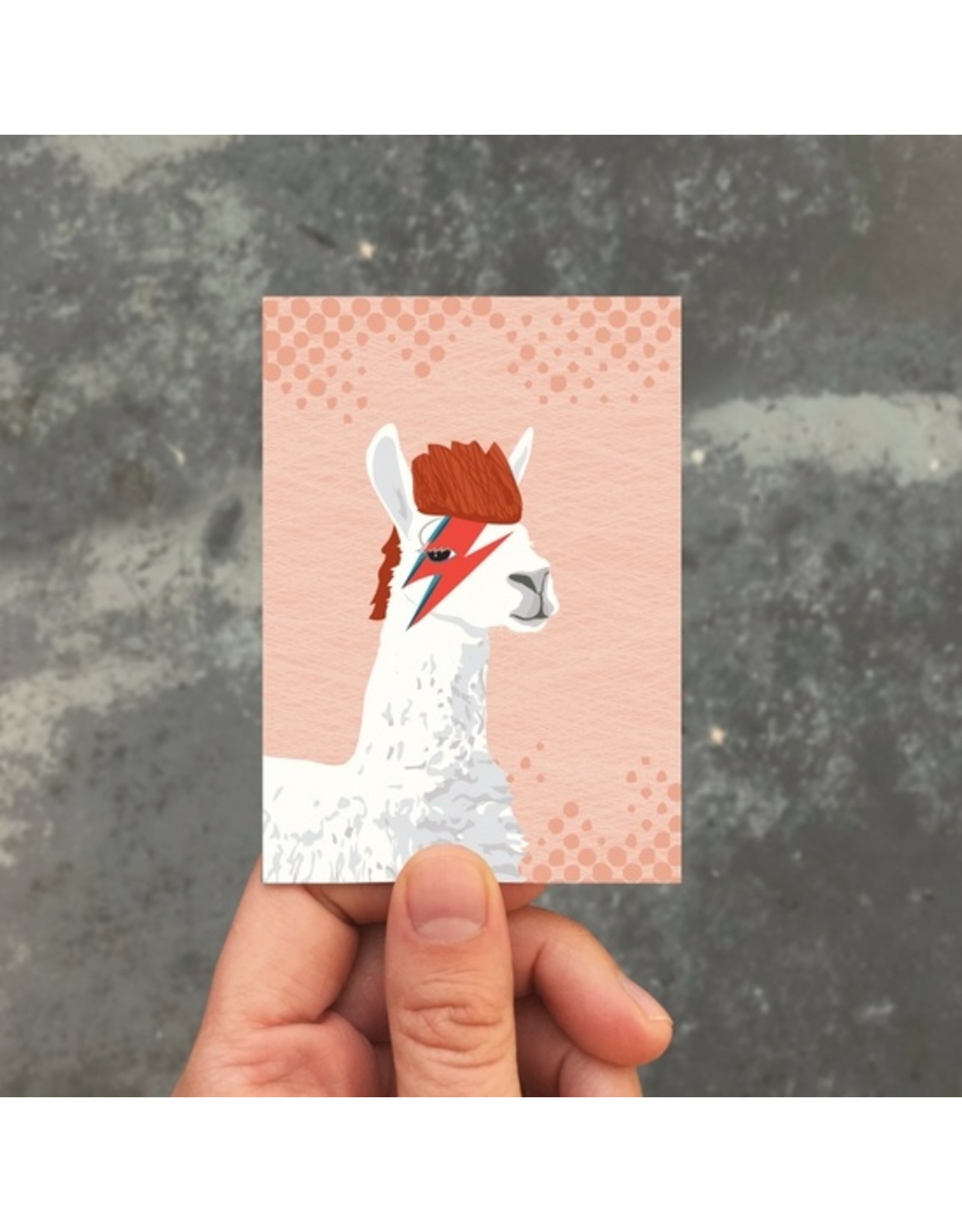 Modern Printed Matter Bowie Llama Enclosure Card